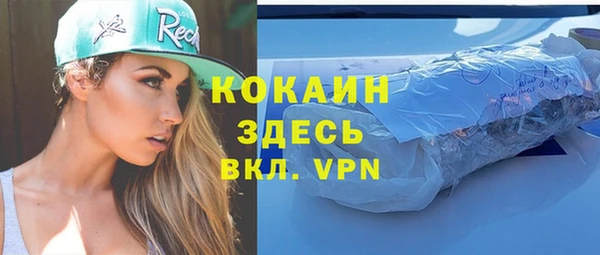 гашик Алексеевка