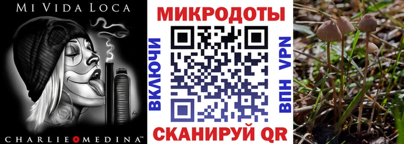 Псилоцибиновые грибы Magic Shrooms дарнет шоп гидра рабочий сайт Татарск